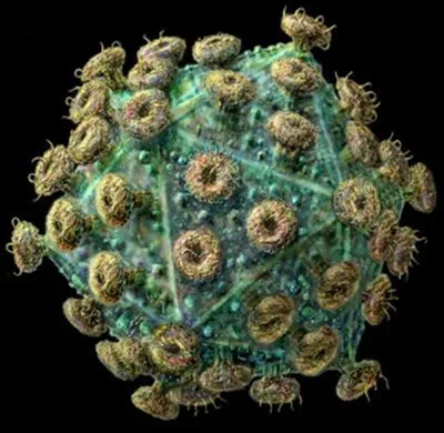 Вирус СПИДА ВИЧ иллюстрация штока. иллюстрации насчитывающей людск -  85567422
