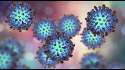 Модель ВИЧ — вируса иммунодефицита человека | Азбука Эйч | Дзен