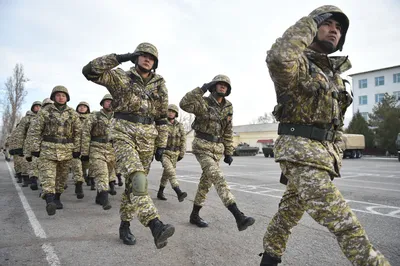 Военный потенциал России оценили в НИИ оборонных исследований Швеции -  Российская газета