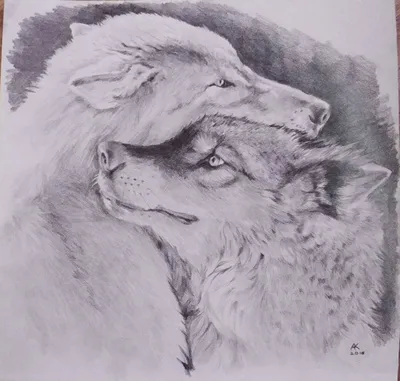 Мультяшный волк и лиса - 71 фото