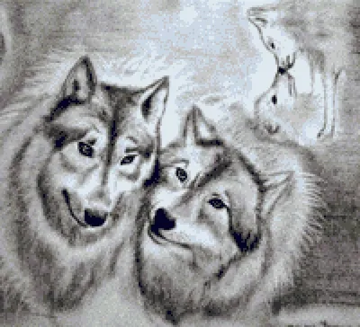 Картинка на рабочий стол любовь, пара, волки, хищники, поцелуй, волк 1280 x  800