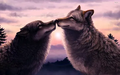 ПВХ Луна красивый волк любовь значки милые аниме аксессуары для сумки  животных | AliExpress