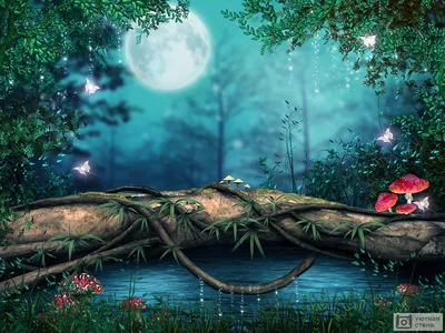 Фотообои \"Волшебный лес в лунном свете\" - Арт. 210118 | Купить в  интернет-магазине Уютная стена