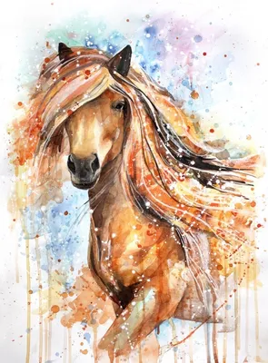 Волшебные фотографии лошадей, которые живут на острове Камберленд (15 фото)  » Картины, художники, фотографы на Nevsepic