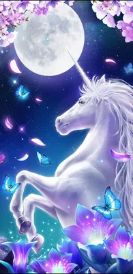 2 Лошадь белая лошадь и черная лошадь. Портрет прекрасных лошадей Стоковое  Фото - изображение насчитывающей осленок, пони: 183647758