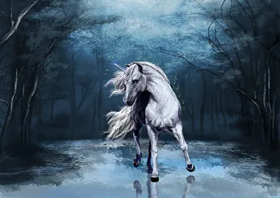 2 Лошадь белая лошадь и черная лошадь. Портрет прекрасных лошадей Стоковое  Фото - изображение насчитывающей конноспортивно, конематка: 183647806