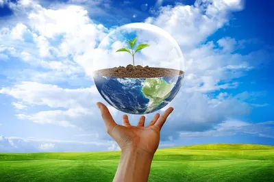 Международный день чистого воздуха для голубого неба — Бобруйский новостной  портал Bobrlife