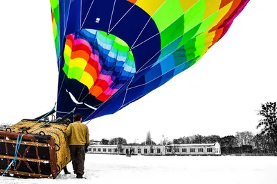 группа разноцветных шаров на сером фоне, 3d воздушные шары, Hd фотография  фото фон картинки и Фото для бесплатной загрузки