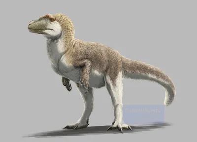Paleo Hunters - Все мы знаем, что динозавры вымерли 66 млн... | Facebook