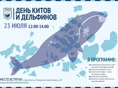 Русский дом в Армении - 🐳🐬 23 июля отмечается Всемирный день китов и  дельфинов. Это умные морские млекопитающие, которые больше всего страдают  от антропогенного фактора: коммерческого промысла, шума от судоходства,  сейсморазведки и