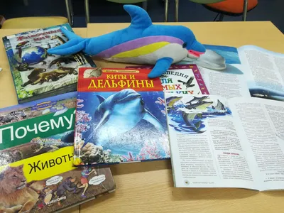 23 июля — Всемирный день китов и дельфинов / Открытка дня / Журнал Calend.ru