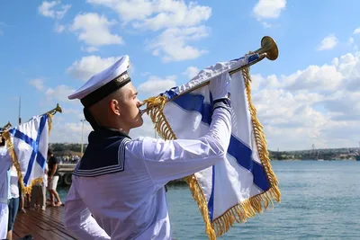 Погоны для курсантов и гражданского персонала Военно-Морского Флота России  1 категории - купить оптом и в розницу, бесплатная доставка, фото, цена.