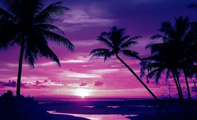 Фиолетовый закат обои - фото и картинки: 67 штук