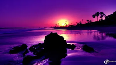Скачать обои Фиолетовый закат (Закат, Камни, Берег) для рабочего стола  1366х768 (16:9) бесплатно, Фото … | Beach sunset wallpaper, Amazing  sunsets, Beautiful sunset