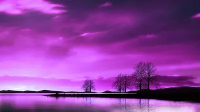 Скачать обои фиолетовый, закат, красно, раздел пейзажи в разрешении  1280x1024