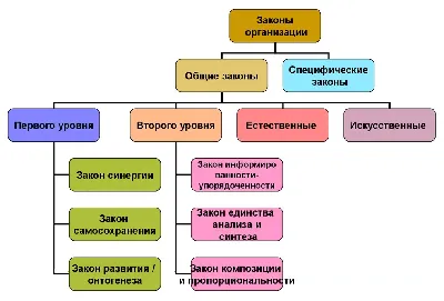 Федеральный закон Российской Федерации — Википедия