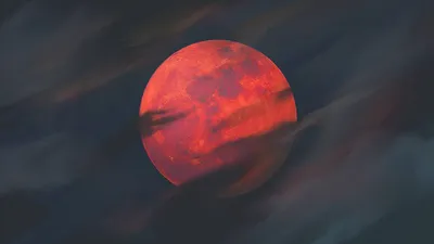 На Дальнем Востоке 8 ноября увидят полное лунное затмение - РИА Новости,  07.11.2022