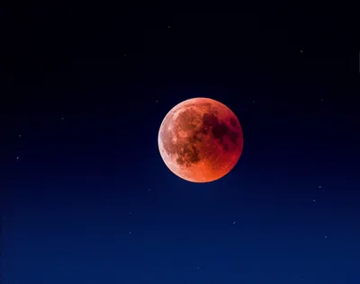 File:Затмение Луны - panoramio.jpg - Wikipedia