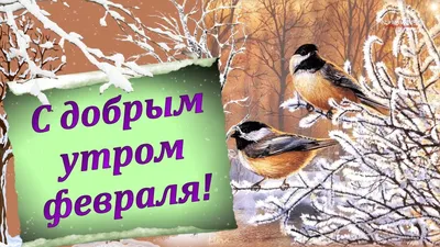 Здравствуй февраль,... - МихаилСтоляров#mixailstolyarov | Facebook