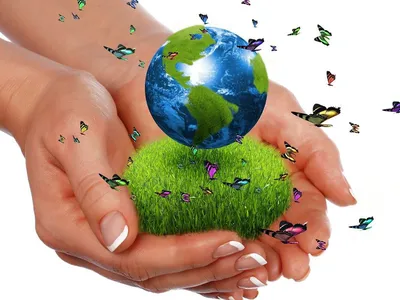 Рисунок Земля зеленая планета №215590 - «ЭКОЛОГИЯ и МЫ» (04.02.2024 - 14:43)