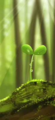 Зеленые растения телефон обои изображение_Фото номер 400585339_JPG Формат  изображения_ru.lovepik.com