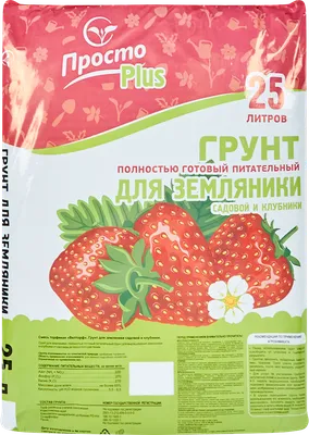 Сорта земляники, пригодные для выращивания на Урале Статьи и наши публикации