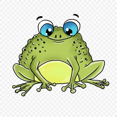 жаба стоковое изображение. изображение насчитывающей бело - 5859217
