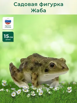 Большая жаба леса стоковое изображение. изображение насчитывающей лягушка -  67016931