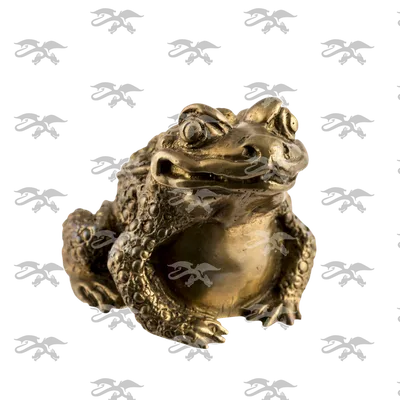 жаба стоковое изображение. изображение насчитывающей песок - 9942053