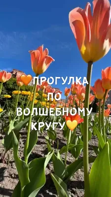 Альбом - Ждем Весну ♫ Встречаем Весну в хорошем настроении! 🙂 Песенки для  детей 0+ - YouTube