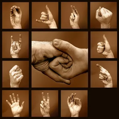 Картинки по запросу психологические жесты рук | Язык жестов, Язык, Язык и  речь