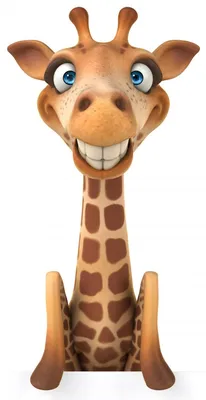 Смешной жираф | Премиум Фото | Жираф, Картины с жирафами, Самые милые  животные