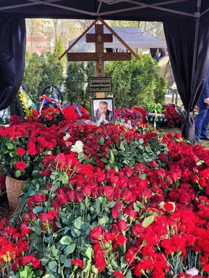Почему сын Жириновского не пришел на похороны отца - KP.RU