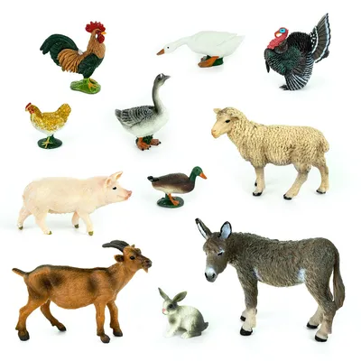 Иллюстрация вещи и животных на ферме на белом фоне | Farm vector, Farm  images, Farm animals