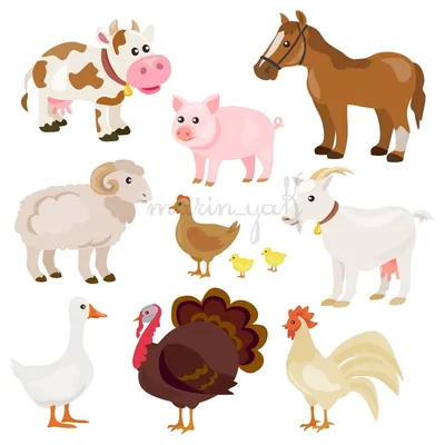 Ферма животных Изображения – скачать бесплатно на Freepik
