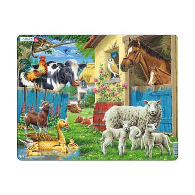 Животные фермы (Кэти Дэйнс) - купить книгу с доставкой в интернет-магазине  «Читай-город». ISBN: 978-5-35-308018-3