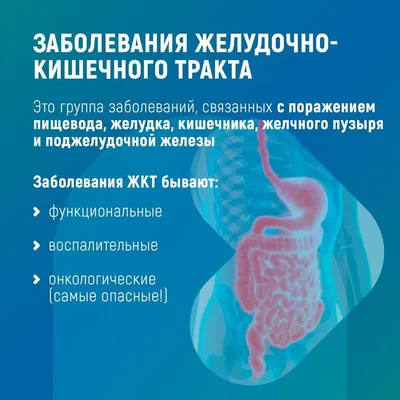 Желудочно-кишечный тракт - e-Anatomy - IMAIOS