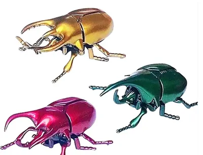 много жуков насекомых выстроились в ряд, жуки жуки картинка, ошибка, жук  фон картинки и Фото для бесплатной загрузки