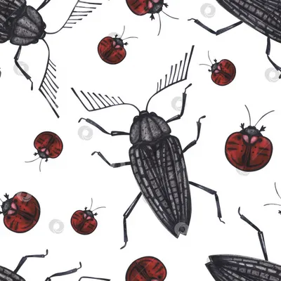 Товарищи жуков-насекомых» — создано в Шедевруме