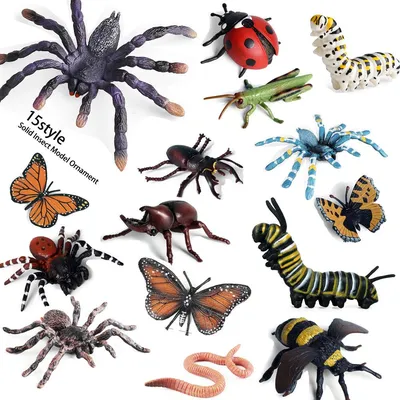 картинки : насекомое, Фауна, Беспозвоночный, Насекомых, Жук, Hemiptera,  постельные клопы, Макросъемка, жужелица, Пиррокорис, Apterus, Скарабеи  2381x1247 - - 750906 - красивые картинки - PxHere