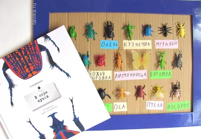 Моделирующие пластиковые мини-насекомые из ПВХ, модели животных, паук,  таракан, жук, Кузнечик, стрекоза, муравей, Богомол, обучающая игрушка, 12  шт. | AliExpress