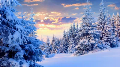 Картинки зима, лес, красиво, небо, облака, закат, белый фон, свет, солнца - обои  1366x768, картинка №118432