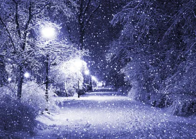 Скачать обои ночь, деревья, фонари, снег, зима разрешение 4820x3421 #80
