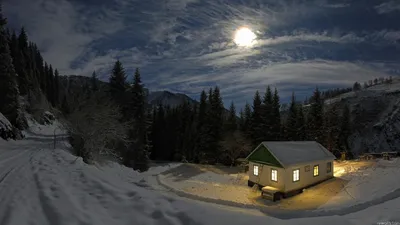 Картинки зима, лес, свет, снег, деревья, ночь, природа, дом, ели - обои  1366x768, картинка №442380