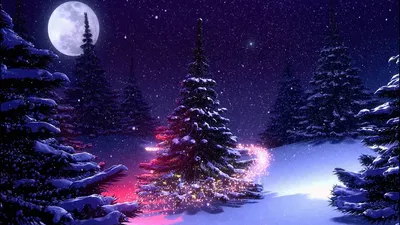 обои : Зима, Деревьями, снег, ночь, пейзаж 2000x1335 - wallpaperUp -  1009621 - красивые картинки - WallHere