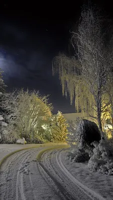 Картинки сказочный город, дома, зима, лес, мост, фонари, ночь, снег - обои  1920x1080, картинка №196409