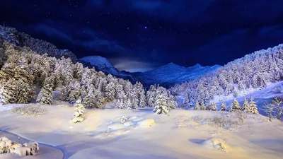 Фон рабочего стола где видно Обои на рабочий стол Shine, зима, ночь,  пейзаж, снег, деревья, звезды, луна, небо