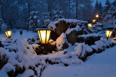 Обои Зима, ночь, снег, скамейки, деревья, улица, праздник огней 1080x1920  iPhone 8/7/6/6S Plus Изображение
