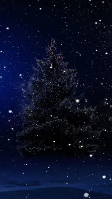 Красивая зимняя ночь , силуэт деревьев | Обои для телефона