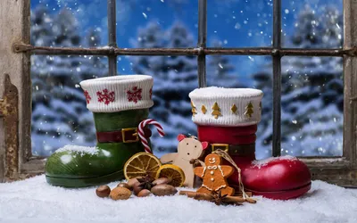 Обои пикник, зима, рождество, уют, настроение, лес, снег картинки на рабочий  стол, фото скачать бесплатно